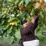 Farmers, Barbers, and GOP Lawmakers Grapple With the Fate of ACA Tax Credits